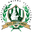 Home team logo