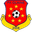 Home team logo