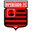 Home team logo