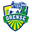 Home team logo