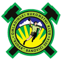 Home Team logo