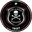 Home team logo