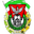 Home team logo