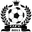 Home team logo