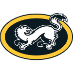 Карпат Оулу logo