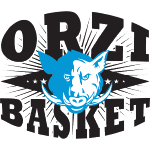 Паллаканестро Орзинуови logo