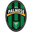 Home team logo