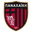 Home team logo