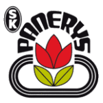 Панерис Вильнюс logo