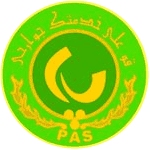 home team logo