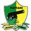 Паттани logo