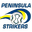 Away team logo