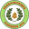Home team logo
