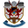 Home team logo