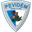 Home team logo