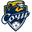 Home team logo