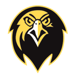 Пфайффер Соколы logo