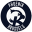 Phoenix Brussels