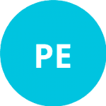 Платеникова Е. logo
