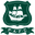 Home team logo