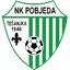 Победа Тесанка logo