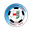 Home team logo