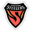 Поханг Стилерз logo