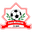 Home team logo