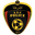 Home team logo