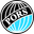 Home team logo