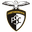 Home team logo
