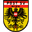 Home team logo