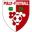 Home team logo