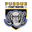 Home team logo