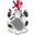 Home team logo
