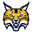 Home team logo