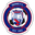 Home team logo