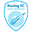 Home team logo