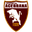 Home team logo