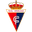 Home team logo
