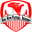 Home team logo