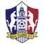 teamLogo