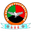 Home team logo