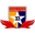 Home team logo