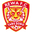Home team logo