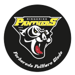 ХК Рингерик logo
