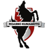 Роассо Кумамото