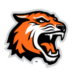 Рочестерский Институт