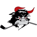 Родовре Майти Буллз logo