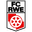 Home team logo